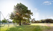 Sport- und Erholungspark, Foto: Florian Küttler