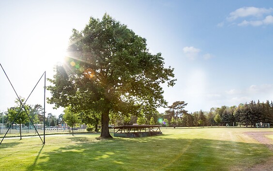Sport- und Erholungspark, Foto: Florian Küttler