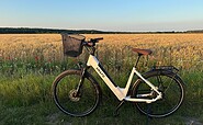 Mietrad E-Bike am Feld, Foto: Franzi Broßuleit, Lizenz: Fahrradverleih Heidesee