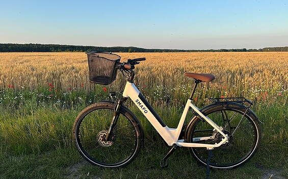 E-bike on the field, Foto: Franzi Broßuleit, Lizenz: Fahrradverleih Heidesee