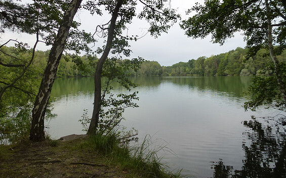Large clay pond, Foto: Petra Förster, Lizenz:  Foto: Tourismusverband Dahme-Seenland e.V.