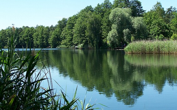 Blick auf den Kiessee, Foto: Dana Klaus, Lizenz: Tourismusverband Dahme-Seenland e.V.