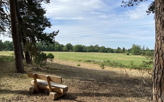 Märkische Runde, Foto: Stadt Erkner