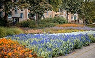 Gartenfließ von Eisenhüttenstadt, Foto: Stadt Eisenhüttenstadt