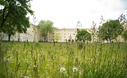 Wiese in Eisenhüttenstadt, Foto: Steffen Lehmann, Lizenz: TMB-Fotoarchiv