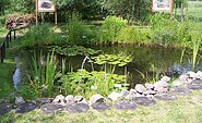 Teich im Biogarten, Foto: Petra Förster, Lizenz: Tourismusverband Dahme-Seenland e.V.