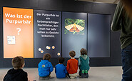 interaktive Quizwand , Foto: Tanja Marotzke, Lizenz: Heinz Sielmann Stiftung