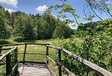 Kleine Elster bei Maasdorf, Foto: Mareike Göpel, Lizenz: Mareike Göpel