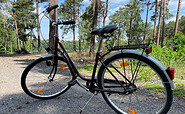Oldstylefahrrad, Foto: Steffen Krautz, Lizenz: Steffen Krautz