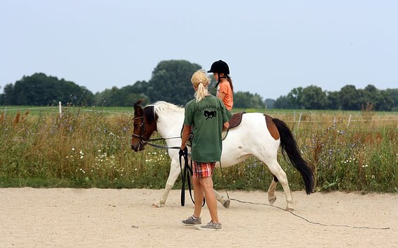 Reitunterricht an der Longe, Foto: Katrin Riegel, Lizenz: Seenland Oder-Spree