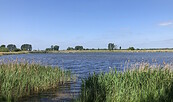 Teichgebiet in Linum, Foto: Jörg Bartz, Lizenz: TV Ruppiner Seenland e. V.