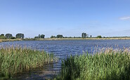 Teichgebiet in Linum, Foto: Jörg Bartz, Lizenz: TV Ruppiner Seenland e. V.