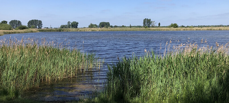 Storchentour zwischen Linum und Kremmen