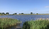 Pond area in Linum, Foto: Jörg Bartz, Lizenz: TV Ruppiner Seenland e.V.