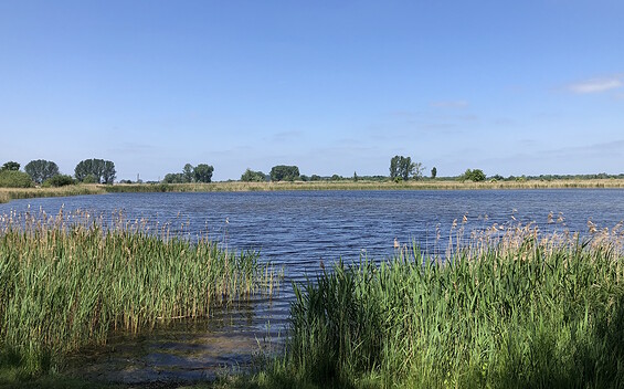 Pond area in Linum, Foto: Jörg Bartz, Lizenz: TV Ruppiner Seenland e.V.