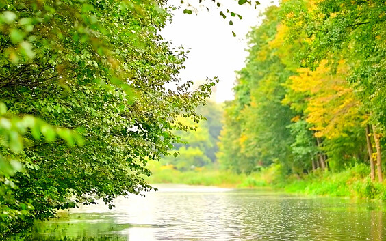 Finowkanal bei Grafenbrueck, Foto: T. Stapel, Lizenz: Zweckverband Region finowkanal