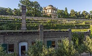 Königlicher Weinberg mit Belvedere Klausberg in Potsdam, Foto: André Stiebitz, Lizenz: PMSG Potsdam Marketing und Service GmbH