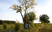 Avenue around the Zernikow estate, Foto: Tourismusverband Ruppiner Seenland e.V. , Lizenz: Tourismusverband Ruppiner Seenland e.V.