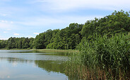 Bernauer Seenwanderung - Mechesee, Foto: Nils Lönnies, Lizenz: BeSt Bernauer Stadtmarketing GmbH