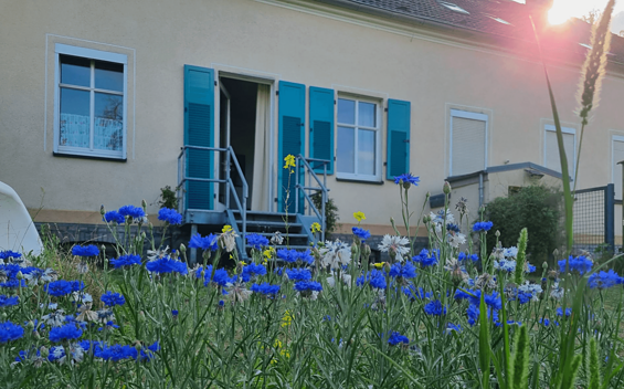 Ferienwohnung "Auszeit mini", Foto: Carola Hoffmeyer