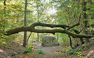 Margrave stones in the Rauen mountains, Foto: Angelika Laslo, Lizenz: Seenland Oder-Spree