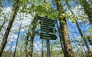 Wanderschilder unterwegs von Rüdersdorf nach Woltersdorf, Foto: Steffen Lehmann, Lizenz: TMB-Fotoarchiv