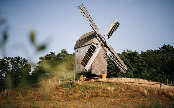 Bockwindmühle Bamme, Foto: Steven Ritzer, Lizenz: Tourismusverband Havelland e. V.