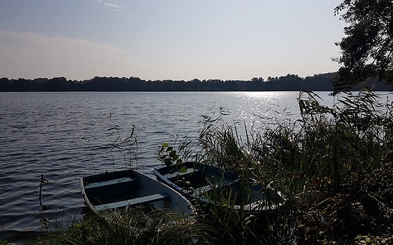 Blick auf den Zeesener See, Foto: Petra Förster, Lizenz: Tourismusverband Dahme-Seenland e.V.