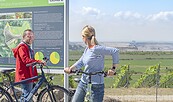 Radfahrer am Aussichtspunkt Wolkenberg, Foto: Nada Quenzel, Lizenz: Tourismusverband Lausitzer Seenland e. V.