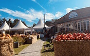 Hofladen mit Kürbissen, Foto: Jannika Olesch, Lizenz: Tourismusverband Ruppiner Seenland e. V.