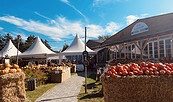 Farm shop, Foto: Jannika Olesch, Lizenz: Tourismusverband Ruppiner Seenland e. V.