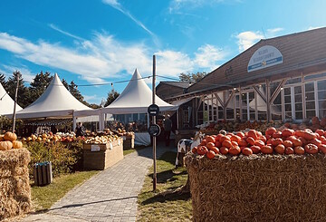 Farm Shop at Kremmen Asparagus Farm