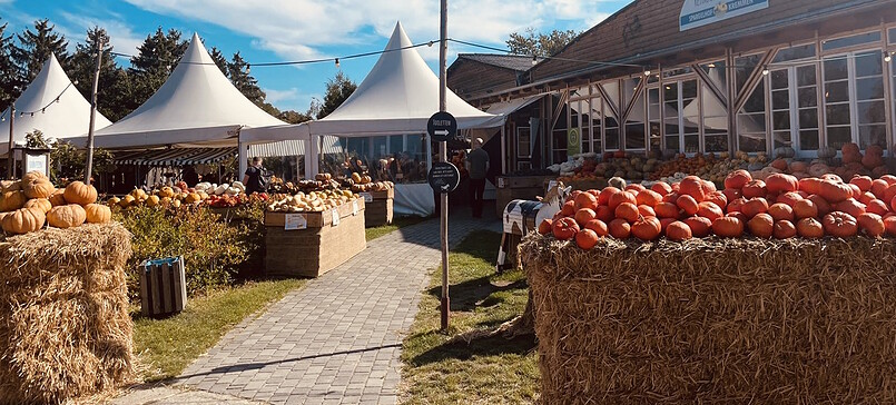 Farm Shop at Kremmen Asparagus Farm