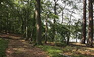 Wanderweg am Stechlinsee, Foto: Steffen Lehmann, Lizenz: TMB-Fotoarchiv