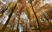 Wanderungen im Ruppiner Seenland , Foto: CUR Camping GmbH, Lizenz: CUR Camping GmbH