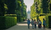 Hauptallee im Park Sanssouci , Foto: Julia Nimke, Lizenz: PMSG SPSG