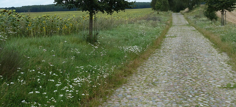 Von Neuruppin nach Braunsberg