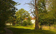 Park-Frühling Foto: Schloss Lübbenau / Robert W. Naase