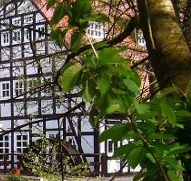 Springbach-Mühle Belzig