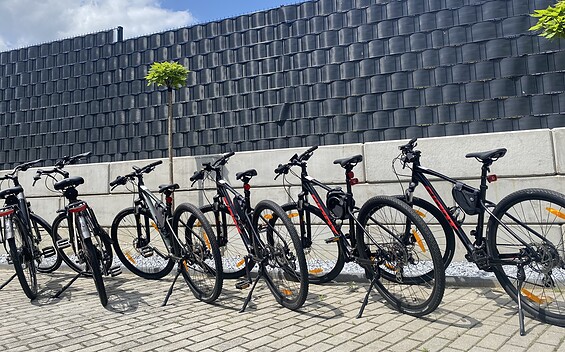 Bicycle rental Pension Pause in Gubin