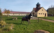 Reitgut Bodddinsfelde, Foto: Petra Förster, Lizenz: Tourismusverband Dahme-Seenland e.V.