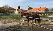 Reitgut Bodddinsfelde, Foto: Petra Förster, Lizenz: Tourismusverband Dahme-Seenland e.V.