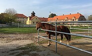 Reitgut Bodddinsfelde, Foto: Petra Förster, Lizenz: Tourismusverband Dahme-Seenland e.V.