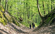 Gramengrund Südspitze, Foto: Christoph Creutzburg
