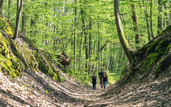 Gramengrund Südspitze, Foto: Christoph Creutzburg