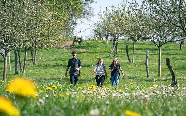 Streuobstwiese Leuenberg, Foto: Christoph Creutzburg