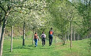 Streuobstwiese Leuenberg, Foto: Christoph Creutzburg
