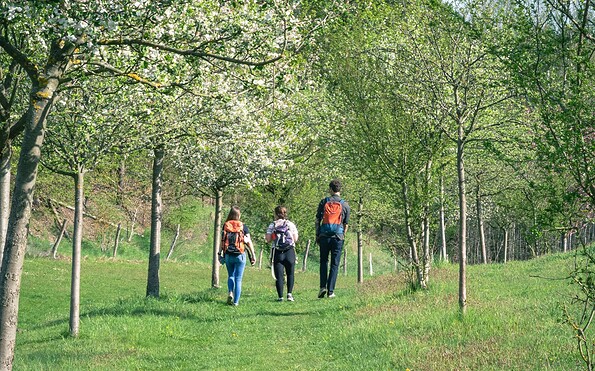 Streuobstwiese Leuenberg, Foto: Christoph Creutzburg