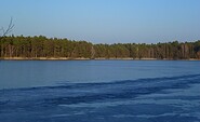Pätzer Vordersee, Foto: Günter Schönfeld, Lizenz: Tourismusverband Dahme-Seenland e.V.