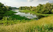 Brieskower See, Foto: Förderverein Schlaubemündung-Odertal e.V.